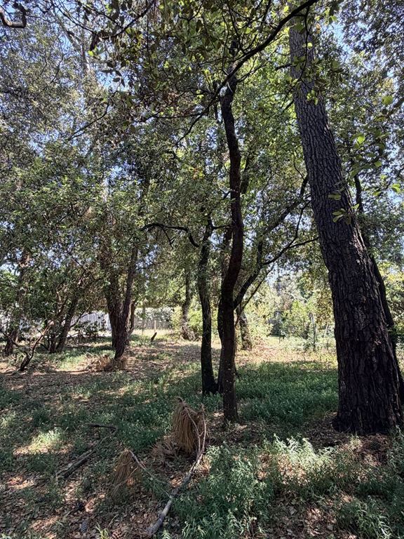 Terrain SOULAC SUR MER 220000€ PAILLÉ IMMOBILIER