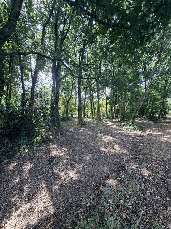 Terrain GRAYAN ET L'HOPITAL 75250€ PAILLÉ IMMOBILIER Terrain GRAYAN ET L'HOPITAL 75250€ PAILLÉ IMMOBILIER